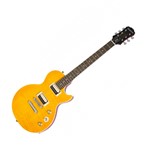 Ficha técnica e caractérísticas do produto Guitarra Epiphone Les Paul Special Slash AFD Signature - Royal Music