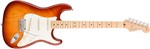 Ficha técnica e caractérísticas do produto Guitarra Fender 011 3012 - Am Professional Stratocaster Ash Mn - 747 - Sienna Sunburst