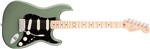 Ficha técnica e caractérísticas do produto Guitarra Fender 011 3012 - Am Professional Stratocaster Mn - 776 - Antique Olive