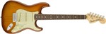 Ficha técnica e caractérísticas do produto Guitarra Fender 011 4910 - Am Performer Stratocaster Rw - 342 - Honey Burst