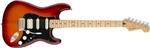 Ficha técnica e caractérísticas do produto Guitarra Fender 014 4562 - Player Stratocaster Hss Plus Top Mn - 531 - Aged Cherry Burst