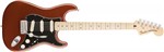 Ficha técnica e caractérísticas do produto Guitarra Fender 014 7302 - Deluxe Roadhouse Strat Mn - 384 - Classic Cooper