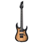 Ficha técnica e caractérísticas do produto Guitarra Ibanez GRG121 EXSM NGT