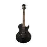 Ficha técnica e caractérísticas do produto Guitarra Semi-Acústica Hollowbody Washburn HB17CB Black Matte com Case