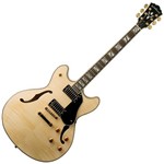 Ficha técnica e caractérísticas do produto Guitarra Semiacústica Washburn HB35N Natural