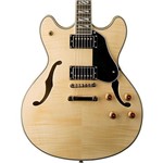 Ficha técnica e caractérísticas do produto Guitarra Semiacústica Washburn HB35WT Hollowbody White