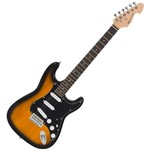 Ficha técnica e caractérísticas do produto Guitarra Strato 6 Cordas 22 Trastes - Standard GM 217 N SK Michael