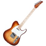 Ficha técnica e caractérísticas do produto Guitarra Television Rw Honeyburst C/ Escudo Branco Perolado - Seizi