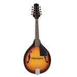 Ficha técnica e caractérísticas do produto Instrumento de bandolim de 8 cordas IRIN M-01 Sunset Color mandolin