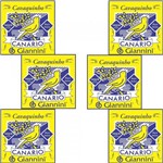 Ficha técnica e caractérísticas do produto Kit 6 Encordoamento Giannini para Cavaquinho Canário Aço