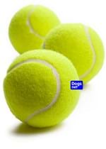 Ficha técnica e caractérísticas do produto Kit com 3 Bolas de Tênis