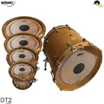 Ficha técnica e caractérísticas do produto Kit de Peles Williams Target - DT2 Duplo Filme Clear 10/12/14/16/22 - Williams Drumheads