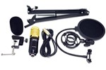 Kit Microfone Condensador Profissional Kp-m0010 - Knup