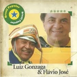 Luiz Gonzaga/flavio Jose - Brasil Po