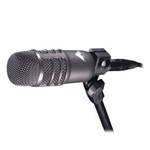 Ficha técnica e caractérísticas do produto Microfone para Bumbo Audio-Technica AE2500
