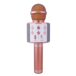 Ficha técnica e caractérísticas do produto Microfone sem fio microfone condensador Profissional Karaoke Rádio Suporte Mikrofon