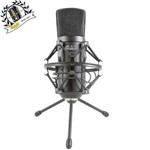 Microfone Usb Condensador de Estúdio Gxl-2600 Usb - Cad Áudio