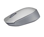 Ficha técnica e caractérísticas do produto Mouse Wireless M170 - Prata - Logitech