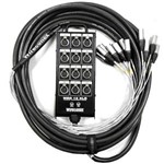 Ficha técnica e caractérísticas do produto Multicabo Completo Wireconex 12 Vias P10 XLR 20 Metros