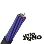 Ficha técnica e caractérísticas do produto Multicabo Santo Angelo 20 VIAS X 24AWG SAS20 por Metro