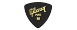 Ficha técnica e caractérísticas do produto Palheta Celuloide Gibson Aprgg 73m - Medium (pack 72)