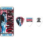 Ficha técnica e caractérísticas do produto Palheta Dunlop Jimi Hendrix Tribute Tour Medium JH-PT09M - Lata com 12 Un