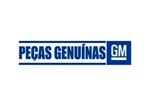 Ficha técnica e caractérísticas do produto Emblema - Gm 94734283