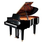 Ficha técnica e caractérísticas do produto Piano de Cauda Yamaha CX2 PE