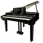 Ficha técnica e caractérísticas do produto Piano Digital Tokai Tp-88c Preto
