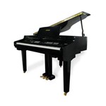 Ficha técnica e caractérísticas do produto Piano Tokai Tp 88c Digital (Preto)