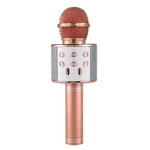 Ficha técnica e caractérísticas do produto Profissional Microfone sem fio Speaker Microfone de Mão Karaoke Mic