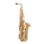 Ficha técnica e caractérísticas do produto Saxofone Alto com Acabamento Vintage e Afinação - WSA OL