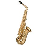 Ficha técnica e caractérísticas do produto Saxofone Alto com Case HSA400 GLQ Hofma Gold Laquer
