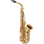 Ficha técnica e caractérísticas do produto Saxofone Alto EAGLE com Estojo - 500BGD (Escovado Chaves Laqueadas)