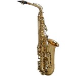 Ficha técnica e caractérísticas do produto Saxofone Alto em Mi Bemol Laqueado Sgft-6430l com Case Shelter [showroom]