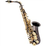 Ficha técnica e caractérísticas do produto Saxofone Alto em Mib Preto Onyx Sa500 Bg Eagle