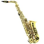 Saxofone Alto Harmony Sib Laqueado Jyas1102 com Estojo