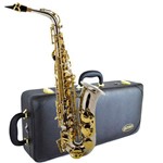 Saxofone Alto Has-25NL Niquelado com Chaves Douradas Hoyden