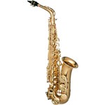 Ficha técnica e caractérísticas do produto Saxofone Alto HOFMA com Estojo Super Luxo - HSA 400