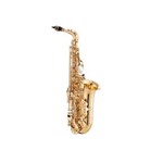 Ficha técnica e caractérísticas do produto Saxofone Alto Jupiter Jas500 Gold Lacquer
