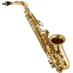 Ficha técnica e caractérísticas do produto Saxofone Alto Laqueado com Case Térmico Vsas701 Vogga