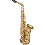 Ficha técnica e caractérísticas do produto Saxofone Alto Mib Eb Laqueado Dourado Hofma HSA400 By Eagle