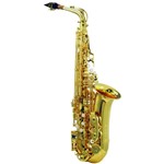 Ficha técnica e caractérísticas do produto Saxofone Alto Michael com Estojo - Wasn35