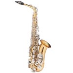 Saxofone Alto Michael Dourado e Niquelado Wasm49 em Eb com Case Mochila