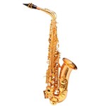 Ficha técnica e caractérísticas do produto Saxofone Alto Michael WASM48 Dual Gold Acompanha Pad Save e Case Mochila