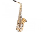 Ficha técnica e caractérísticas do produto Saxofone Alto Michael WASM49 Dual Gold - Chaves Niqueladas