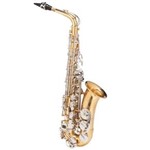 Ficha técnica e caractérísticas do produto Saxofone Alto Michael WASM49 Dual Gold Duplo Dourado e Niquelado