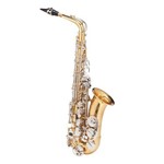 Ficha técnica e caractérísticas do produto Saxofone Alto Michael Wasm49 Dual Gold