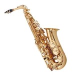 Ficha técnica e caractérísticas do produto Saxofone Alto Nuova By Jupiter - Nas3Gl
