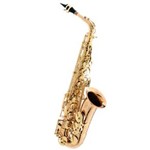 Ficha técnica e caractérísticas do produto Saxofone Alto Profissional com Case SAX510 L Eagle Laqueado
